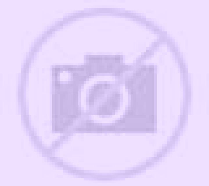Abril Las Animas escort