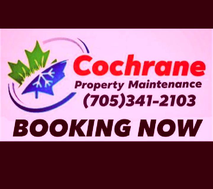 Amanda 2 Cochrane escort