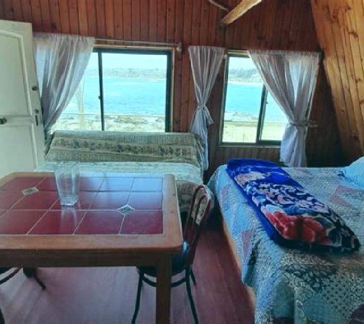 Amaya 3 Renaico escort