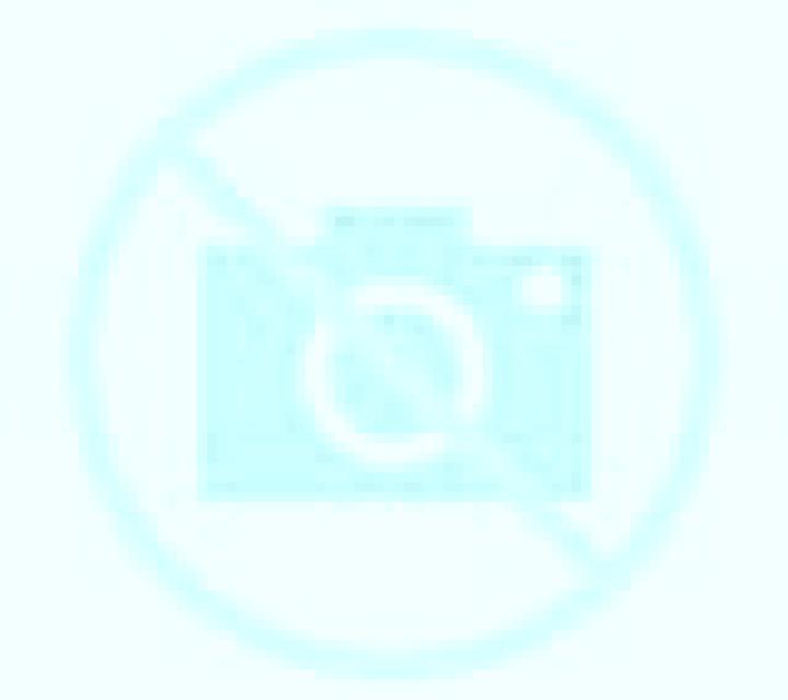 Andrea 2 Olmue escort