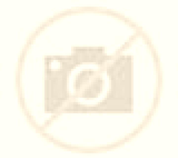 Andrea 2 Puerto Chacabuco escort