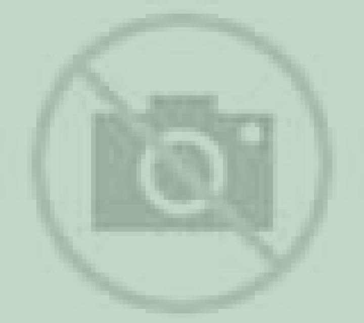 Andrea 2 Quilpue escort