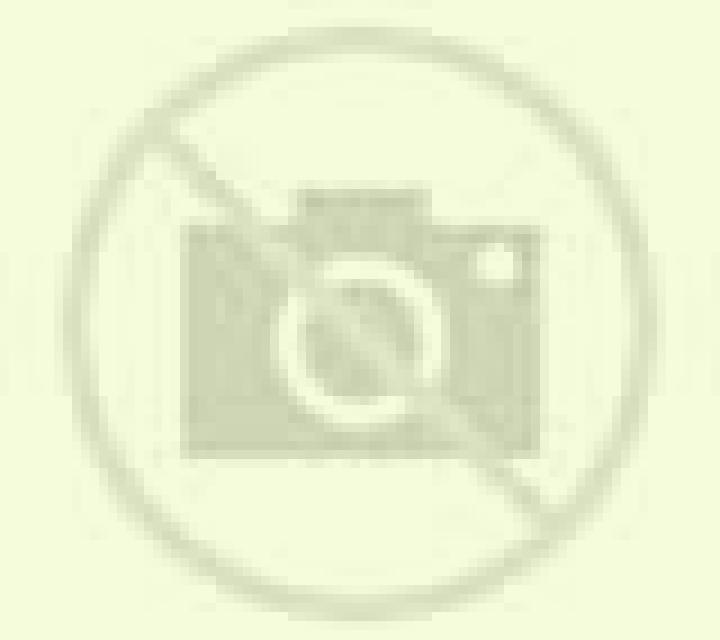 Andrea 2 Romeral escort