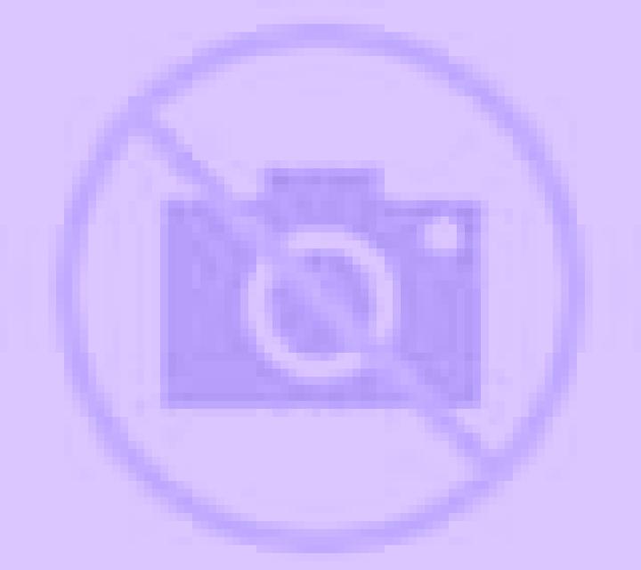 Ariadna 2 Panquehue escort