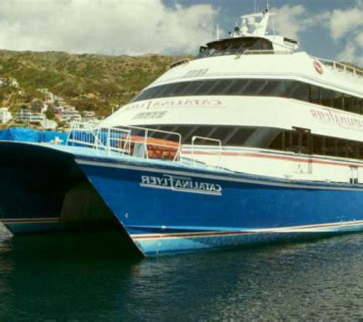 Catalina Pemuco escort