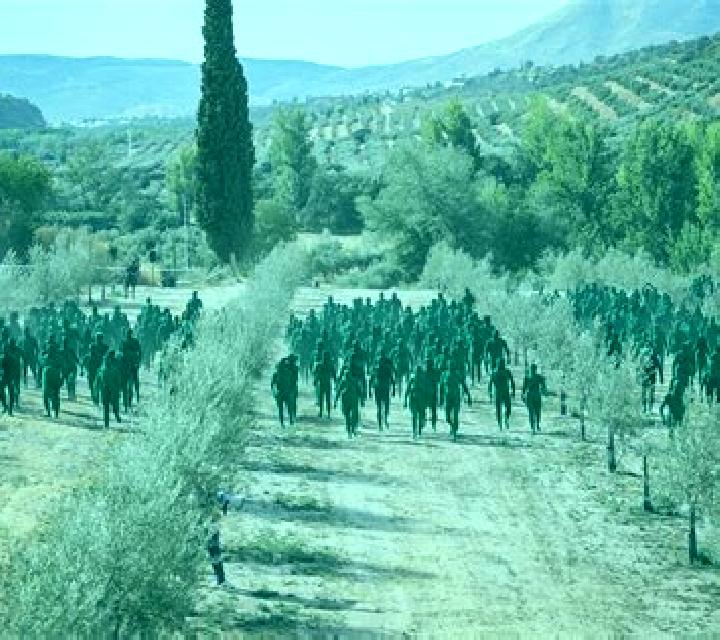 Cielo 2 Olivar escort