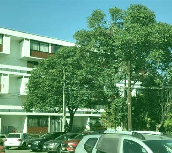Cielo Quilaco escort