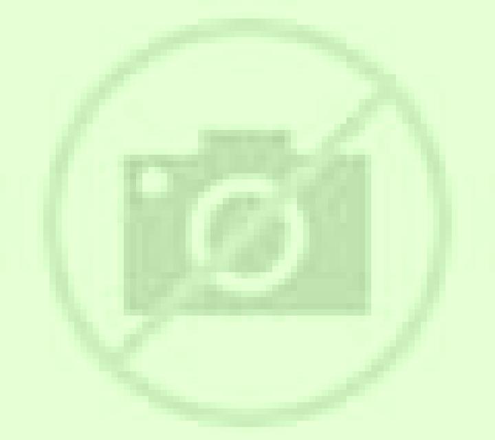 Colomba 2 Hanga Roa escort