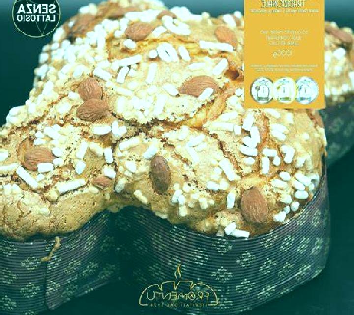 Colomba Chaiten escort