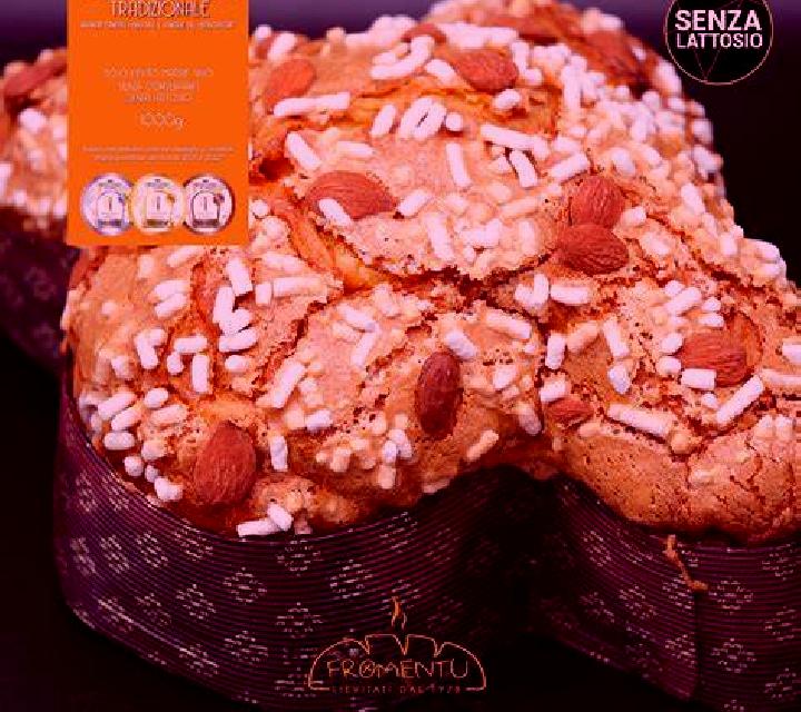 Colomba Coquimbo escort