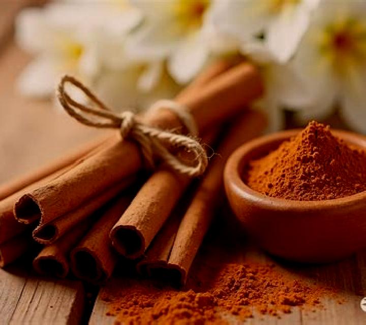 Cony Canela escort