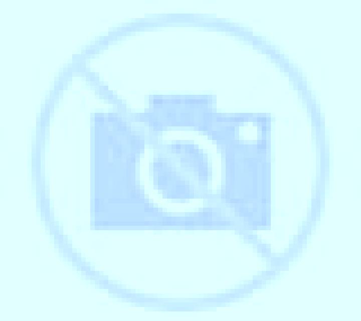 Estrella 3 Lumaco escort