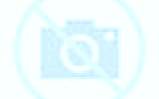Florencia Talagante escort