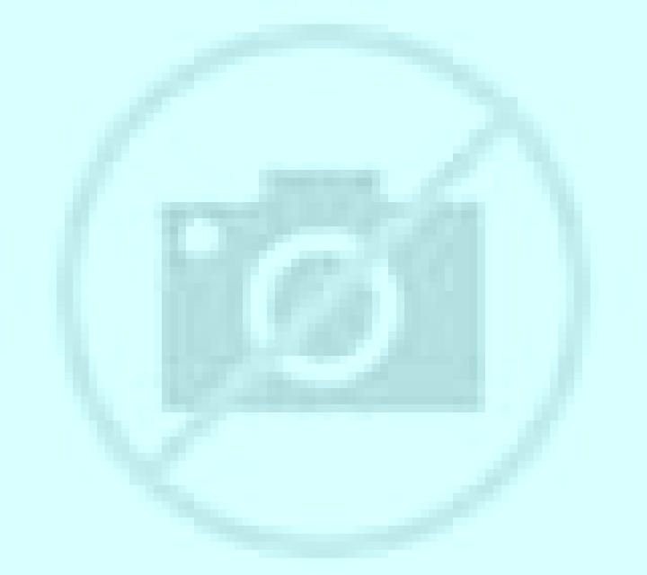 Ignacia 2 Quillon escort