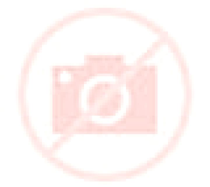 Isidora 2 Los Andes escort
