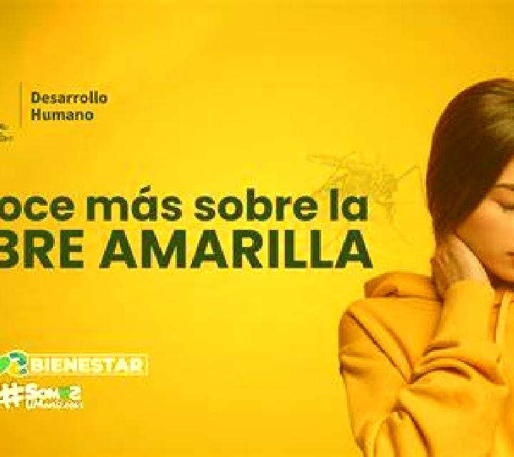 Karis 2 Los Lagos escort