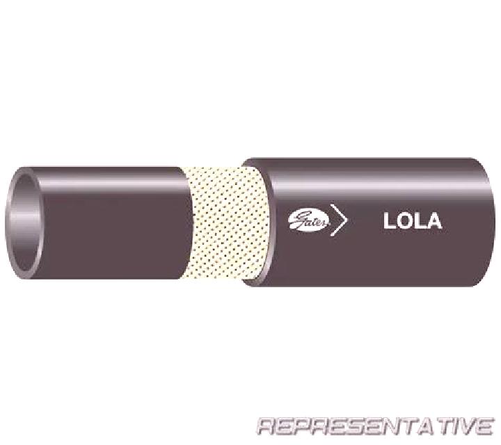 Lola 2 Catemu escort