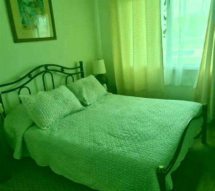 Lola 2 San Antonio escort