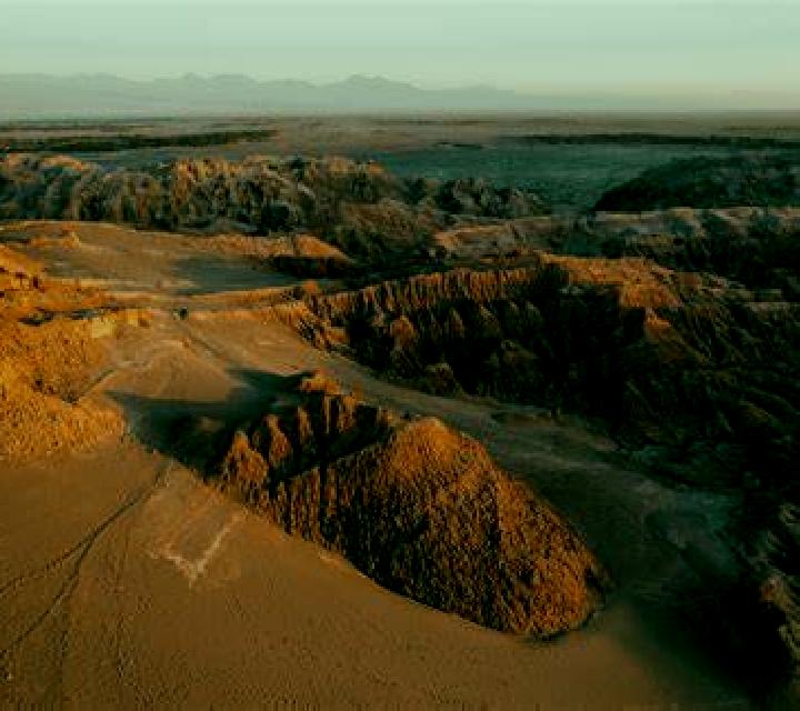 Lola 2 San Pedro de Atacama escort