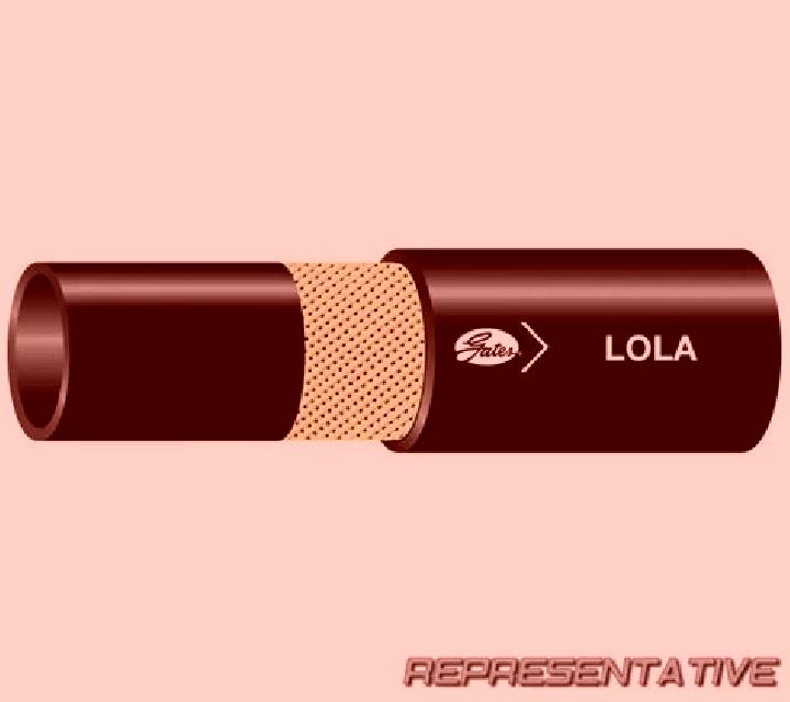 Lola 3 Catemu escort