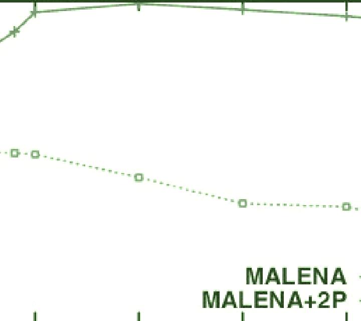 Malena 3 Futaleufu escort