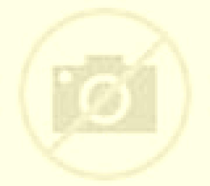 Olivia 3 Puerto Natales escort