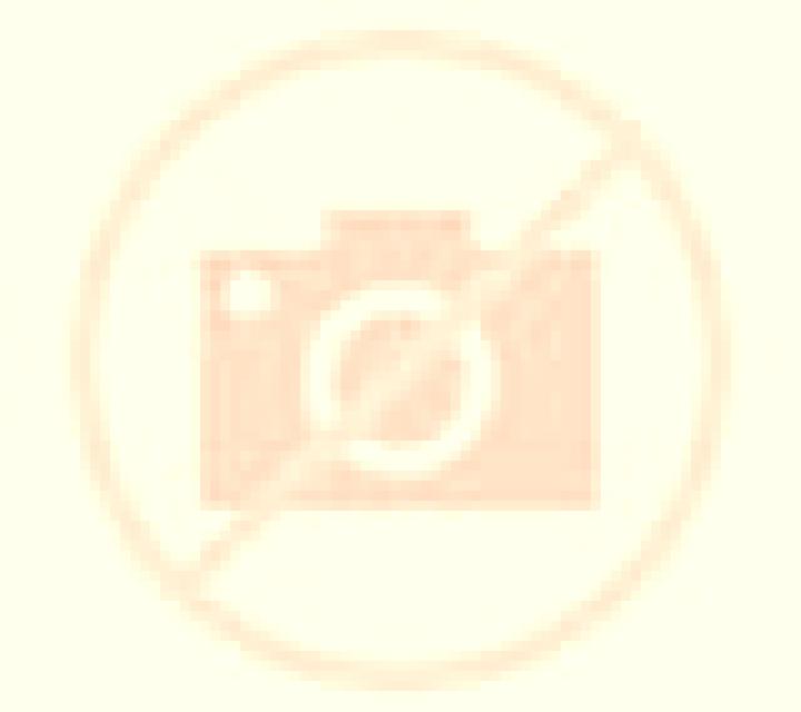 Rayén 2 Peor Es Nada escort