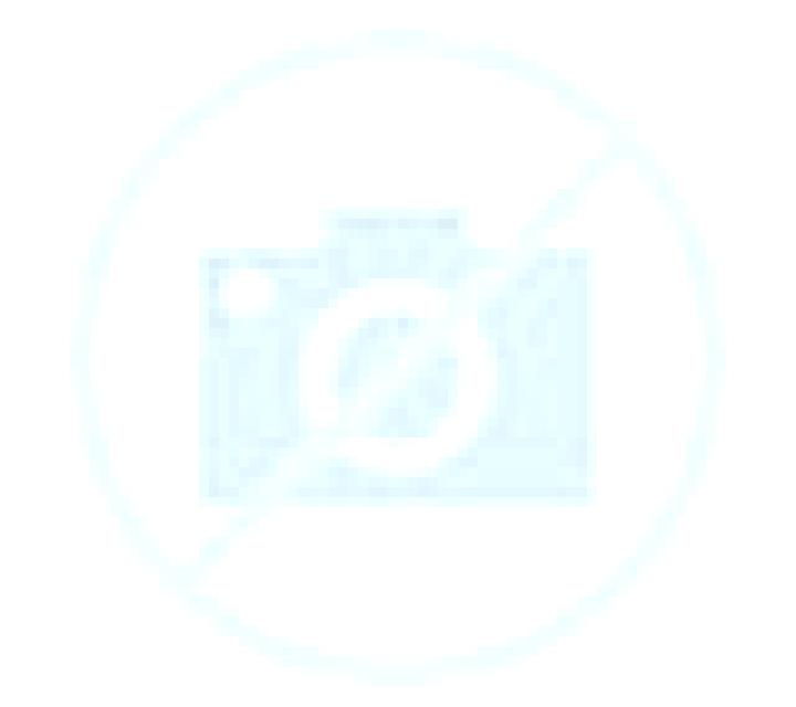Trinidad 2 Freirina escort