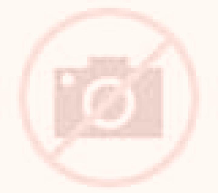 Valentina 2 Punitaqui escort