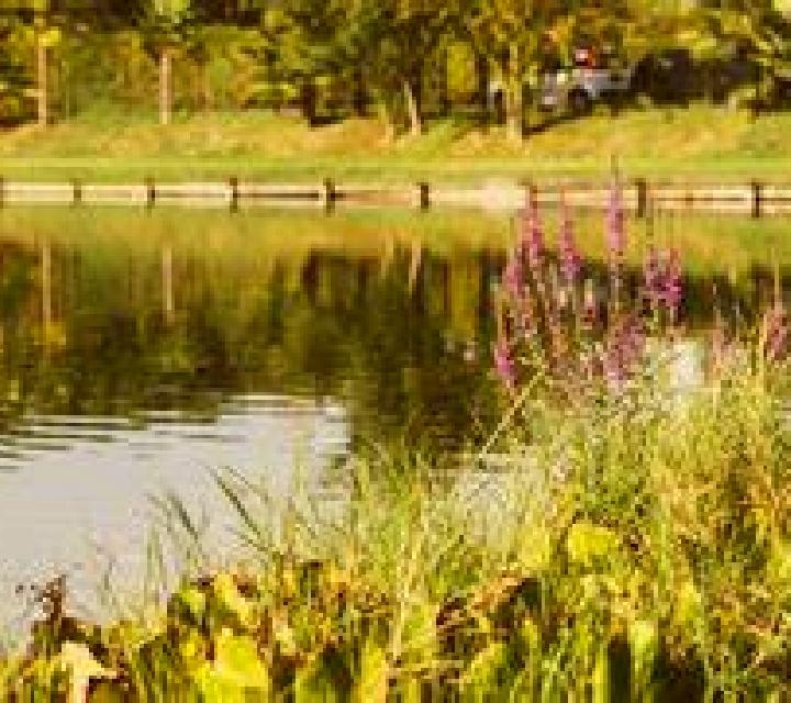Valentina 3 Lago Verde escort