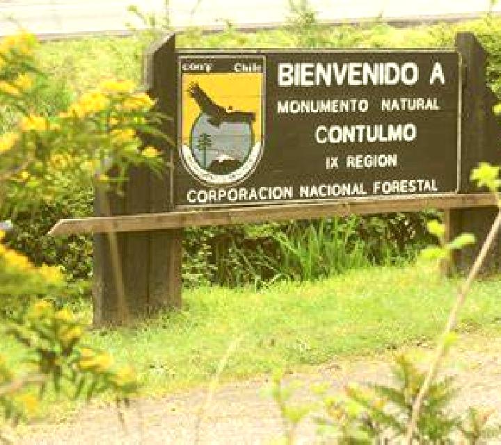 Valentina Contulmo escort
