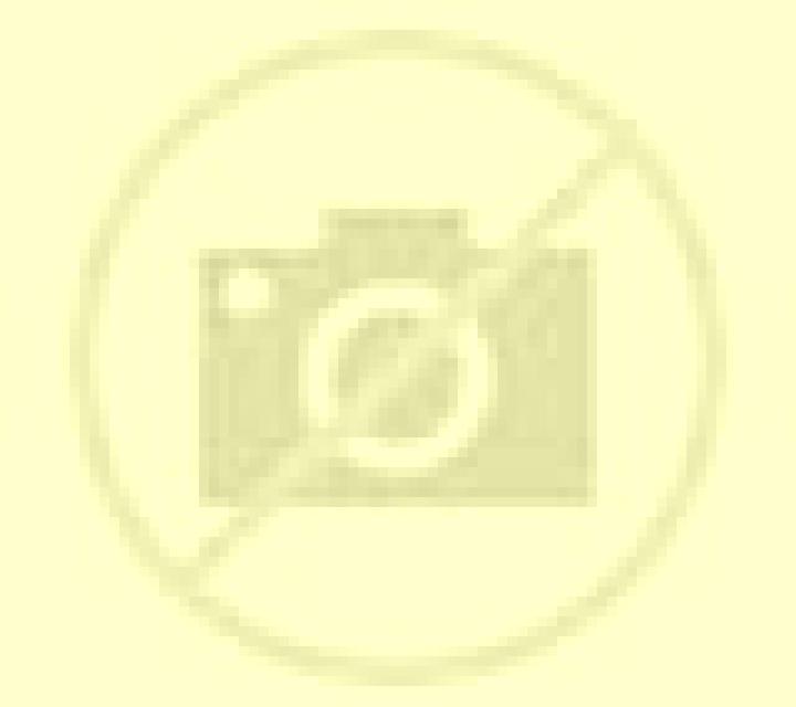 Yasmin 3 Nacimiento escort