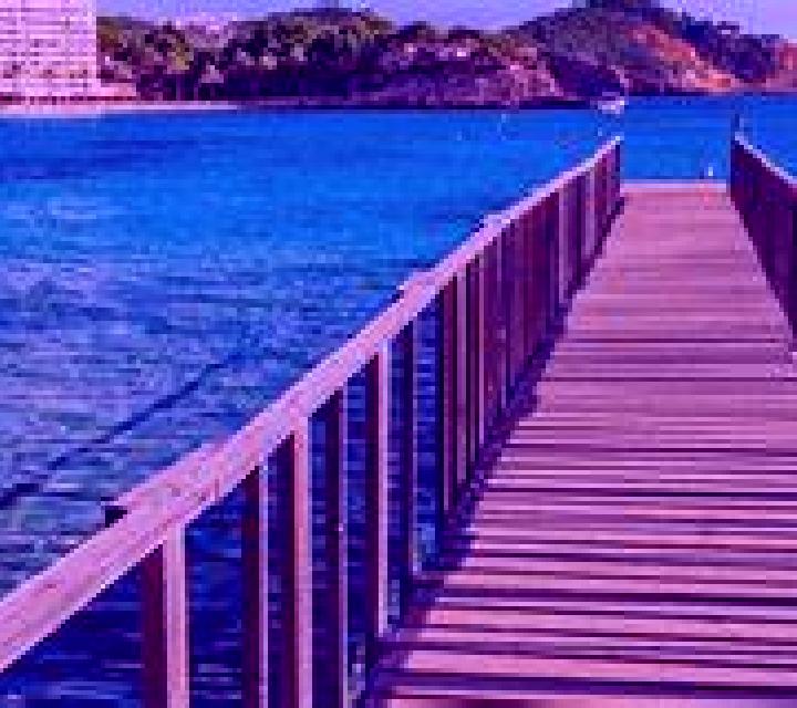 Zara 3 San Vicente escort